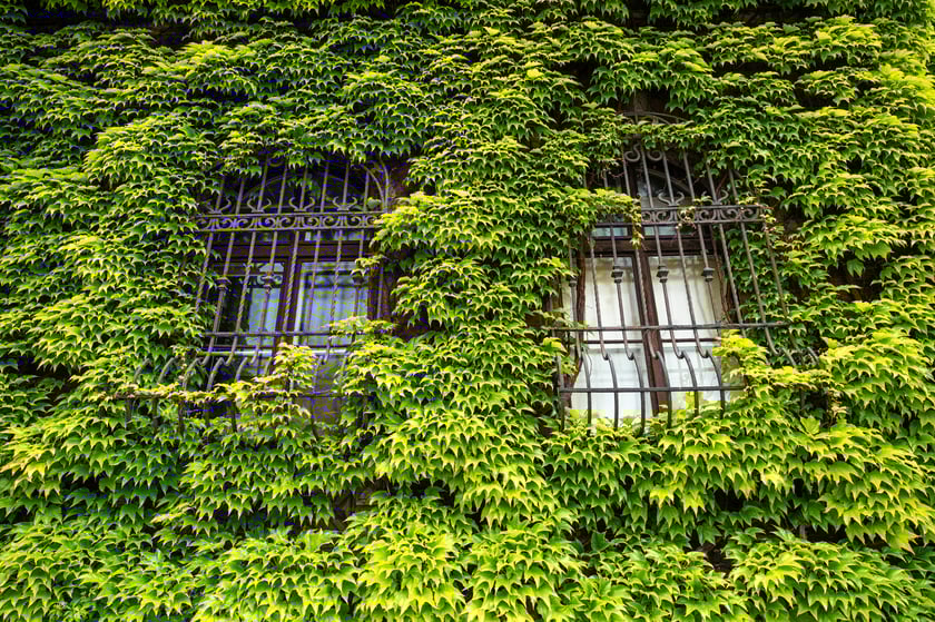 Muzeum Narodowe we Wrocławiu